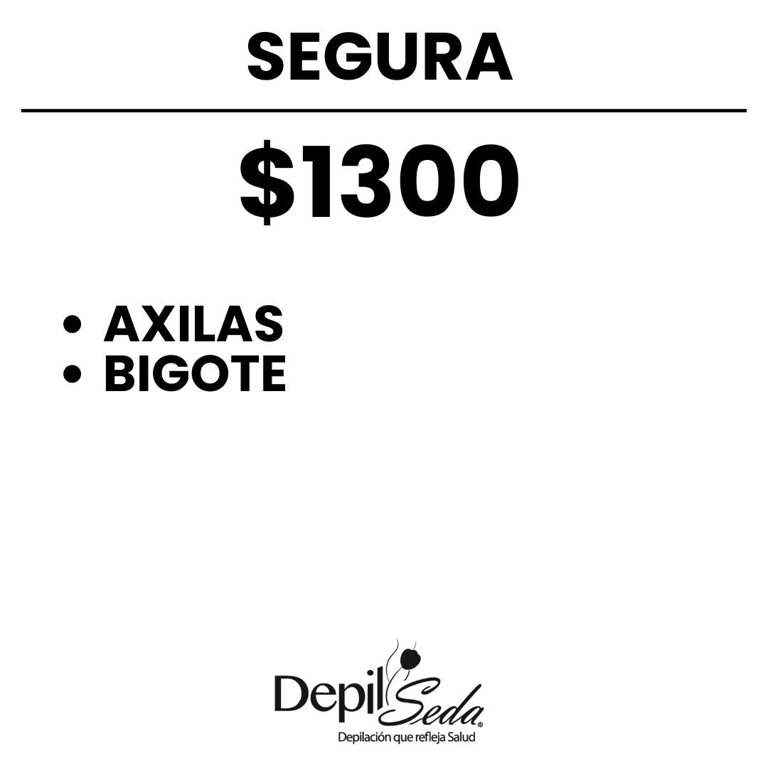 Segura - Tratamiento  6 meses